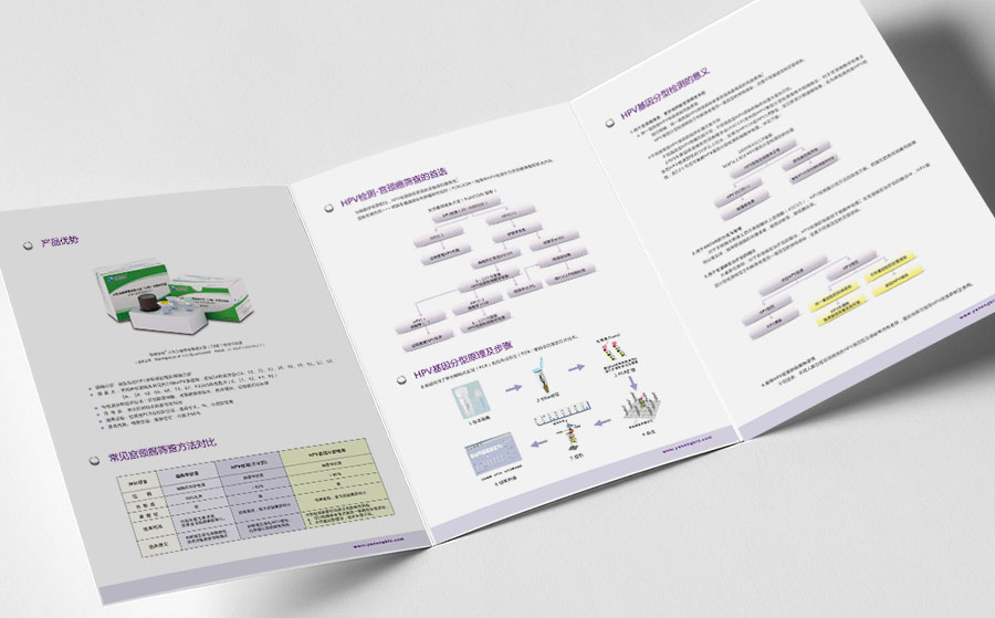 《HPV基因分型檢測-宮頸癌篩查》產品的三折頁